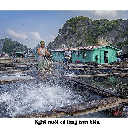 Cat Ba Hostel Cat Ba Island Exteriör bild