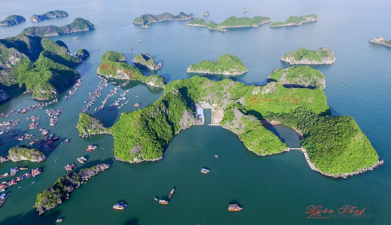 Cat Ba Hostel Cat Ba Island Exteriör bild