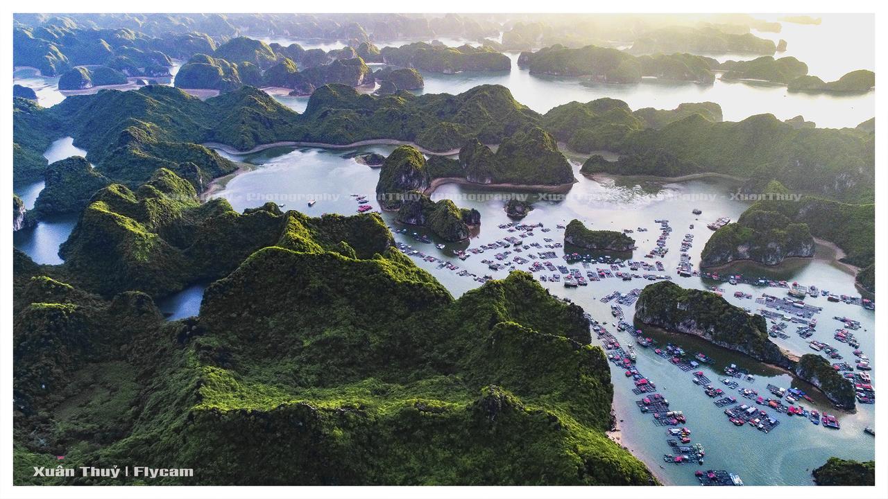 Cat Ba Hostel Cat Ba Island Exteriör bild