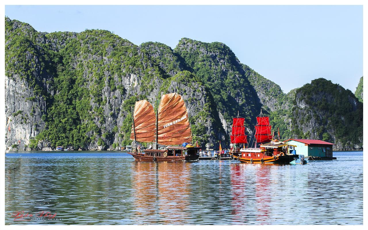 Cat Ba Hostel Cat Ba Island Exteriör bild